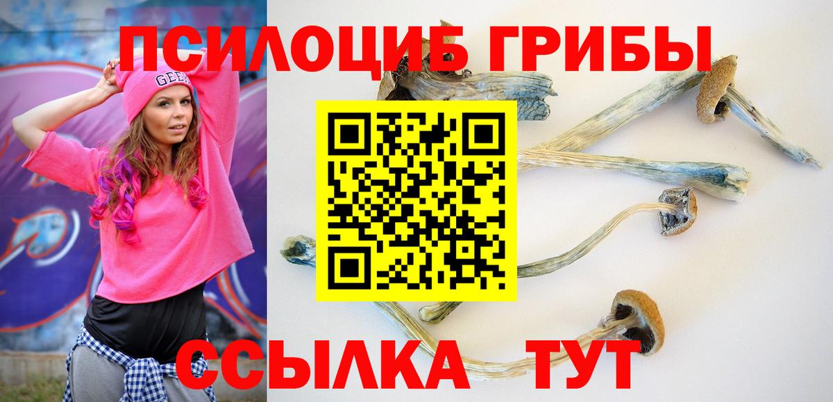 Псилоцибиновые грибы Magic Shrooms  продажа наркотиков  Кореновск  Вход с VPN 