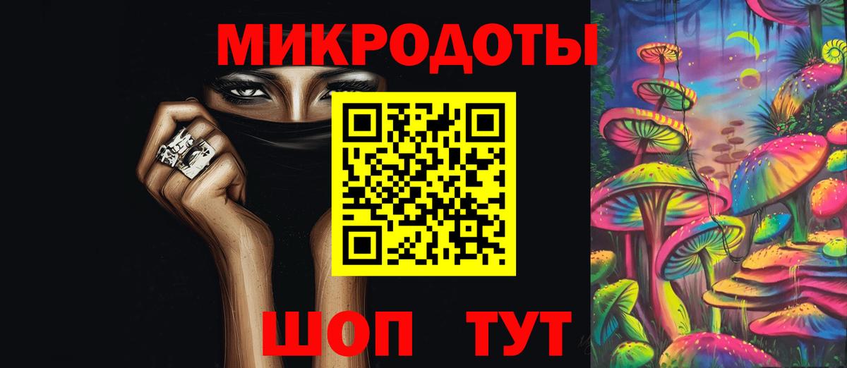 Галлюциногенные грибы Psilocybine cubensis Кореновск